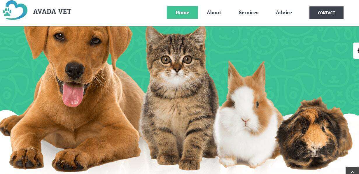 wordpress demo pets