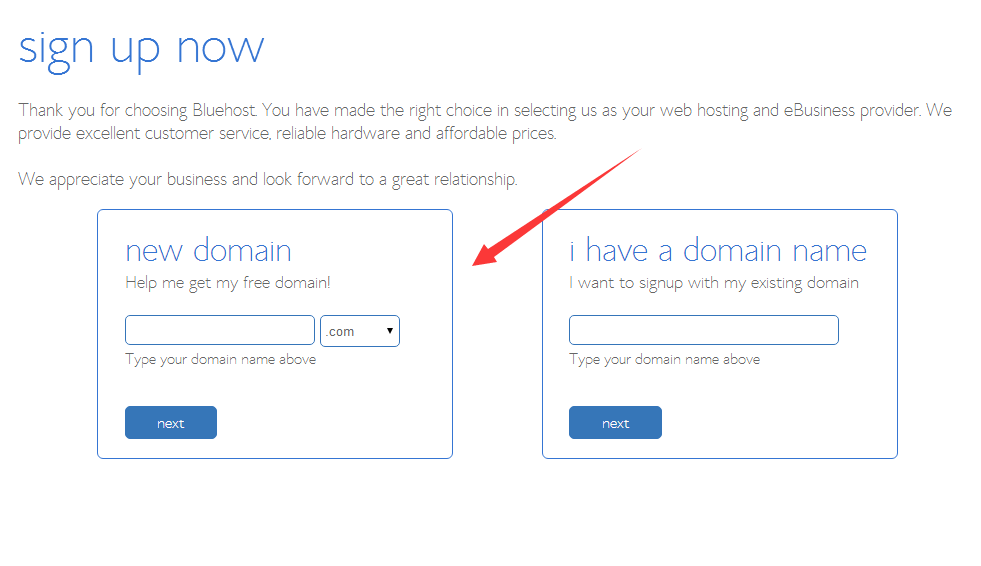 bluehost domain