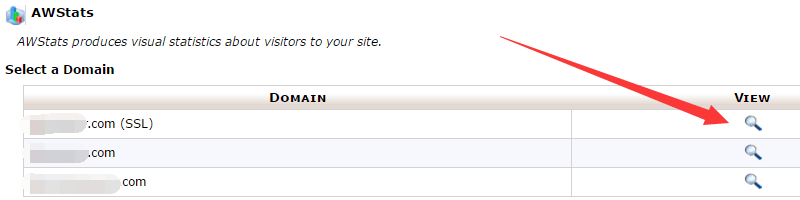 AWStats select a domain