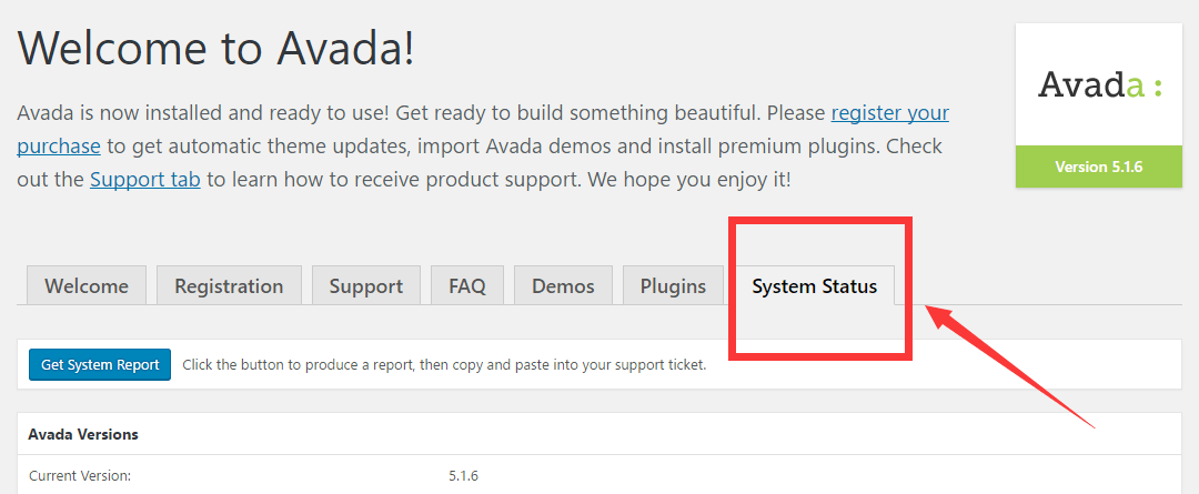 avada system status