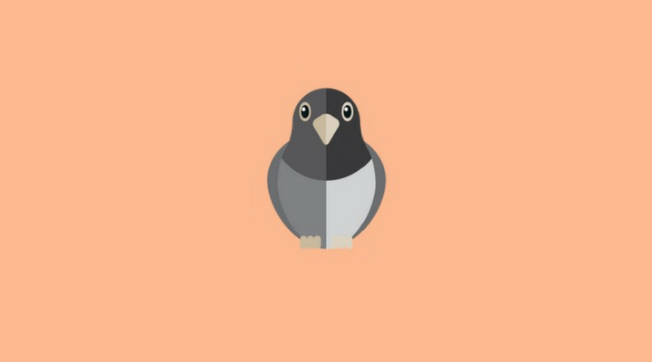 Pigeon Algorithm Update
