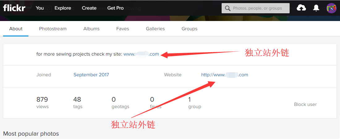 flickr个人about页面