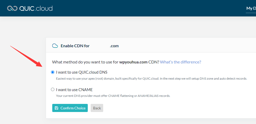 使用 QUIC.cloud DNS