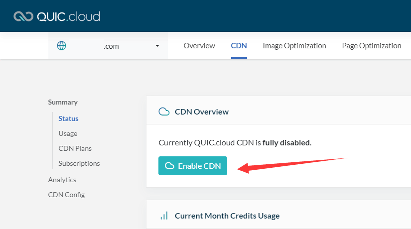 enable cdn