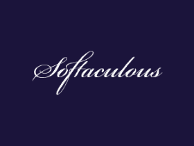 如何使用Softaculous备份WordPress